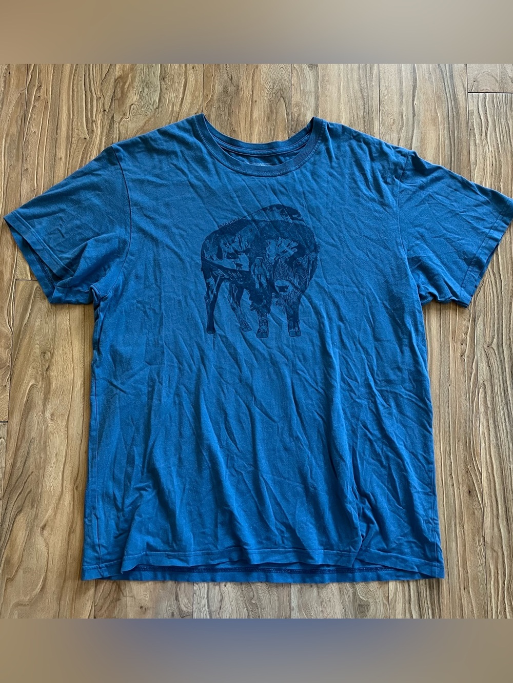 Vintage Patagonia hiking bison nature t-shirt